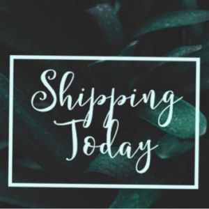 All orders are shipped in a timely matter.